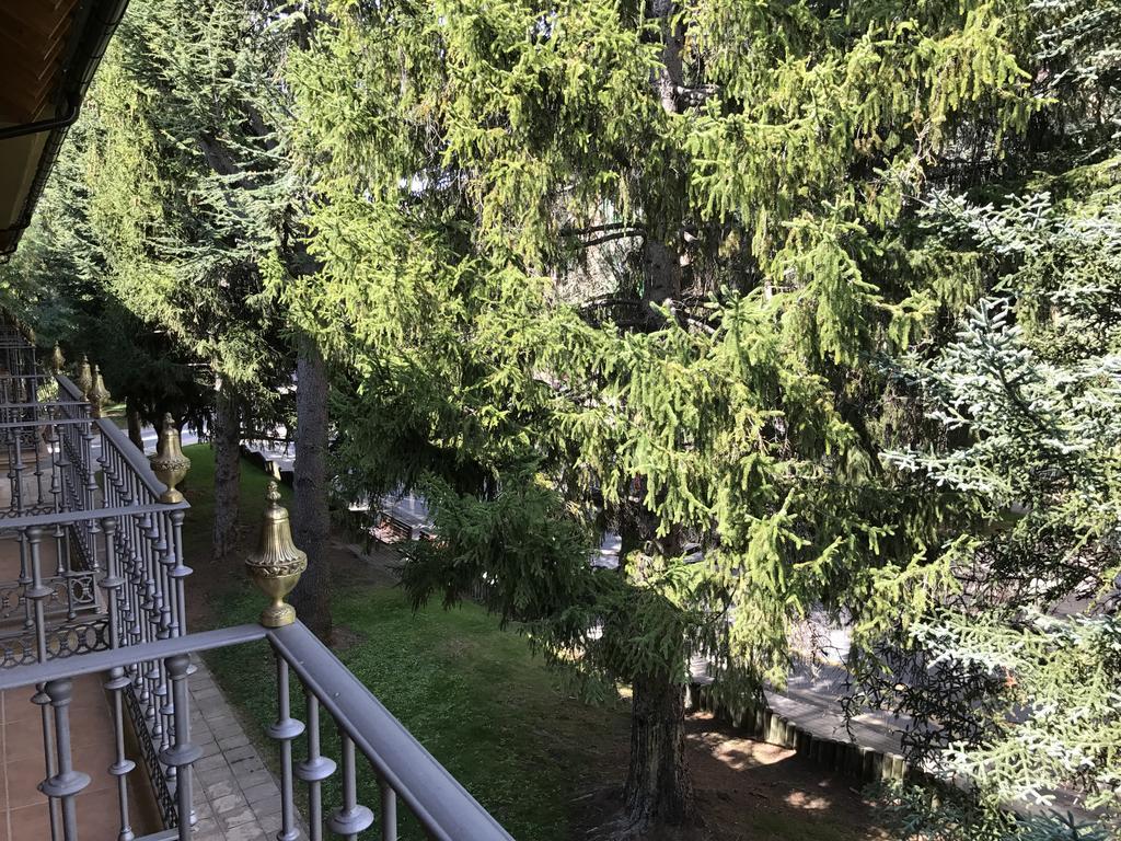 Apartment Balcon De I *