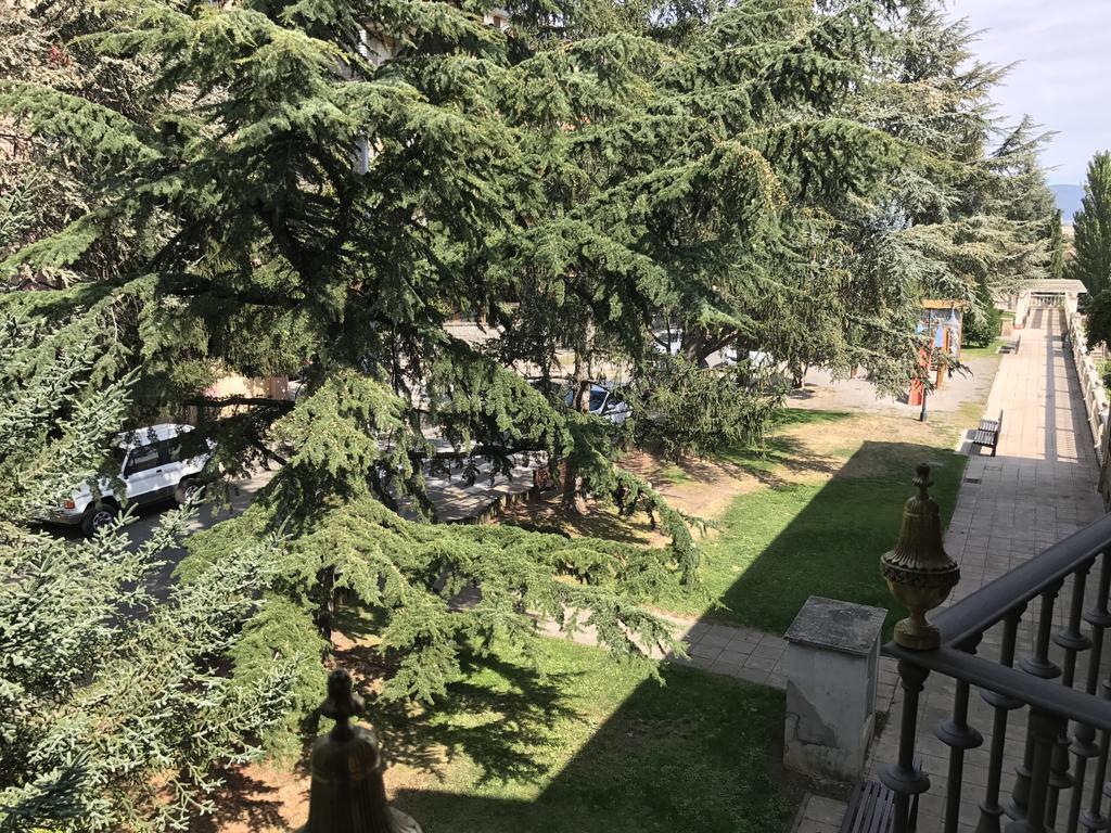 Apartment Balcon De I Jaca